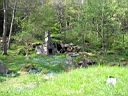 Kvarnfallet i blom.jpg